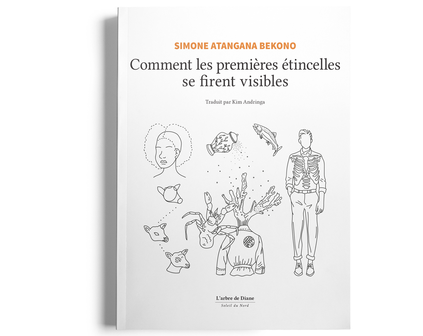 Nouveauté - Comment les premières étincelles se firent visibles