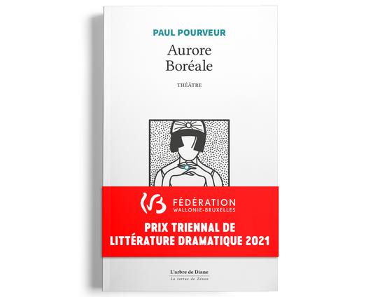 Aurore Boréale